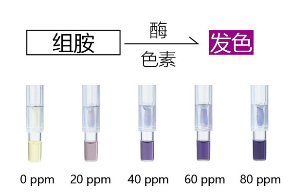 原理結(jié)構(gòu)圖.jpg